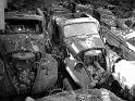 Autofriedhof - 060